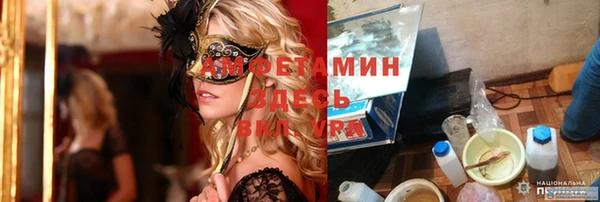 индика Гусь-Хрустальный
