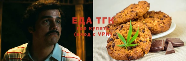 индика Гусь-Хрустальный