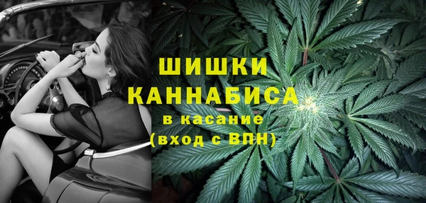 стафф Гусиноозёрск