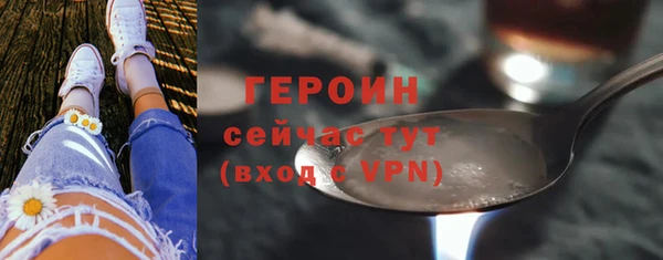 индика Гусь-Хрустальный