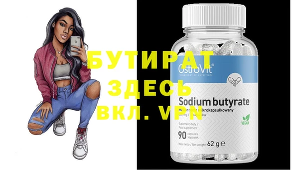 индика Гусь-Хрустальный