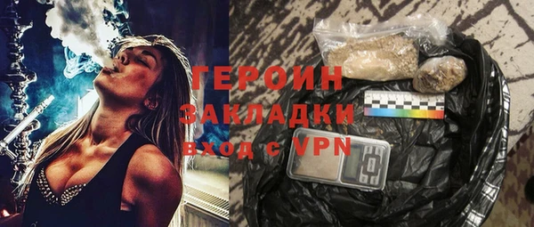 индика Гусь-Хрустальный
