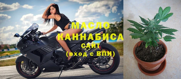 индика Гусь-Хрустальный