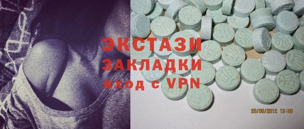 индика Гусь-Хрустальный