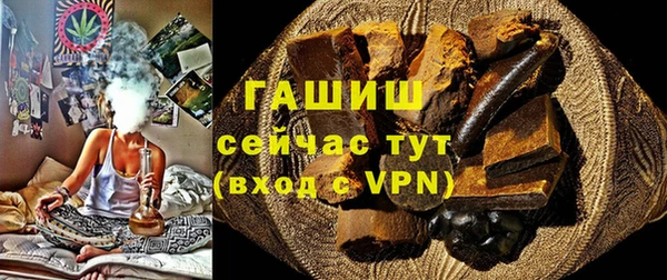 индика Гусь-Хрустальный