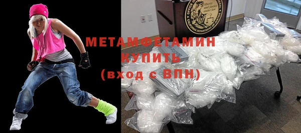 индика Гусь-Хрустальный