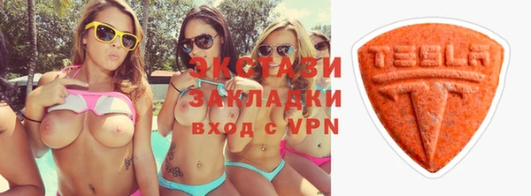 индика Гусь-Хрустальный