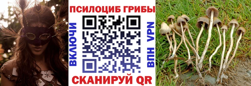 МЕГА ссылка  Осташков  Псилоцибиновые грибы MAGIC MUSHROOMS 